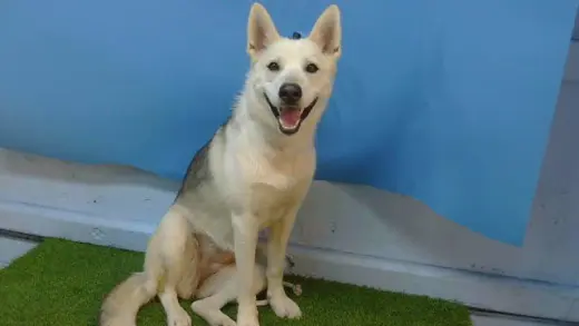 CHLOE