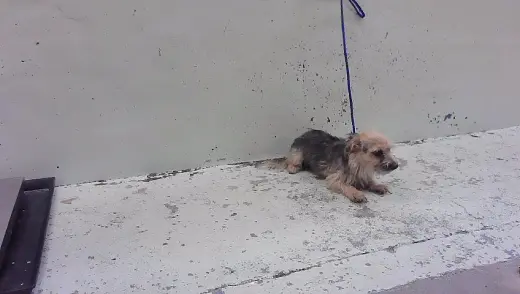 BENNY