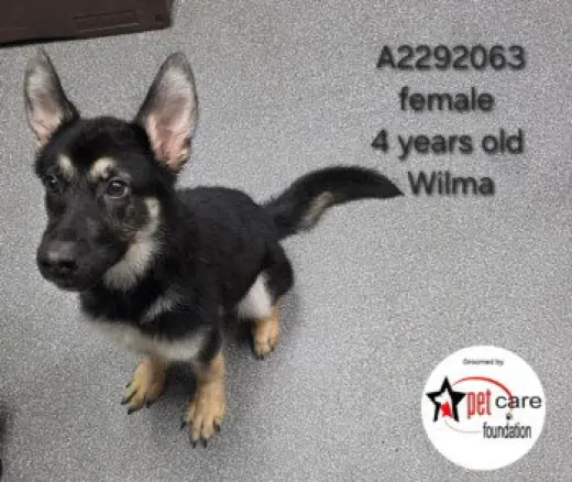 WILMA