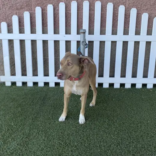 LUNA