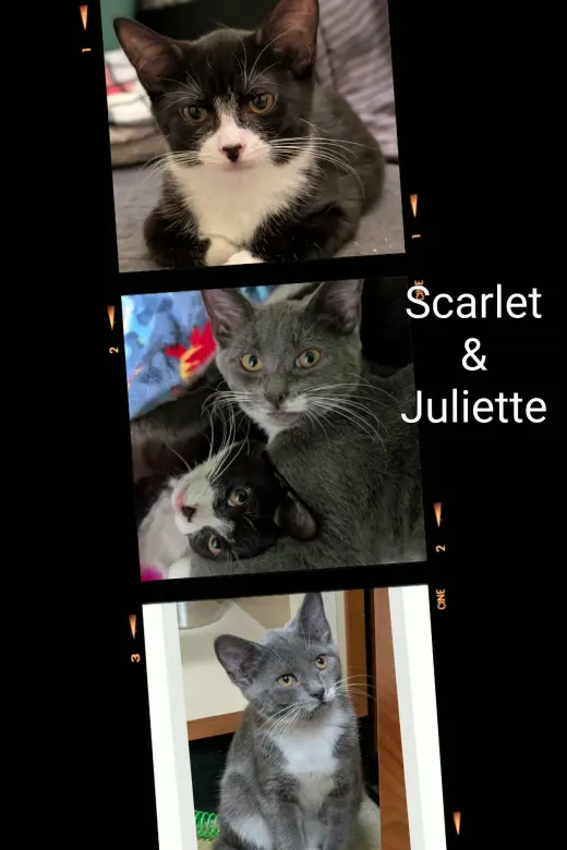 Scarlet & Juliette
