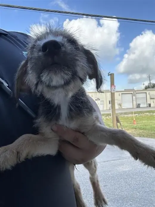 A661879