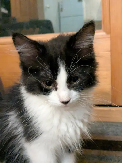 Zig - No Longer Accepting Applications