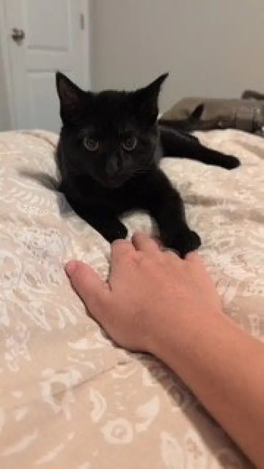 LUCY