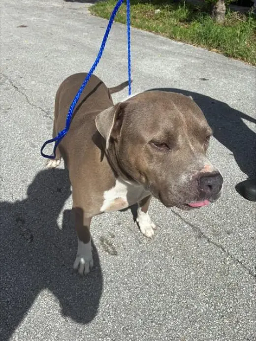 BENNY