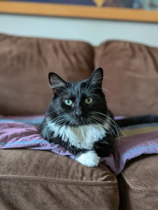 Powerpuff (Tiny but mighty)