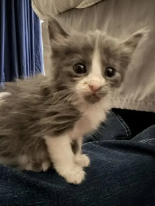 TINY