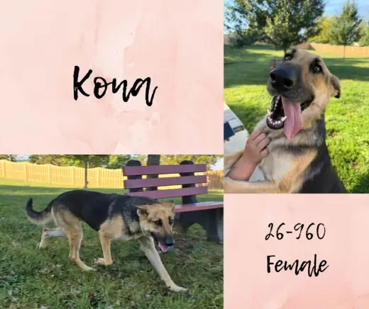 Kona