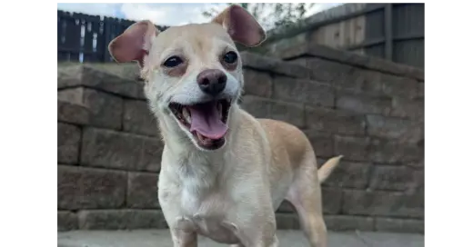 Marley aka (Thunder)~