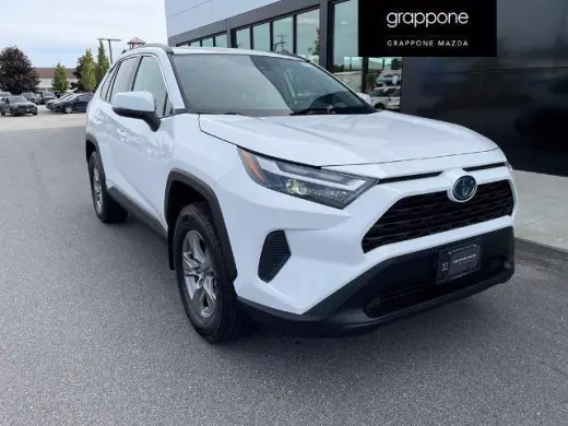 Toyota RAV4 Híbrido 2024 AWD LE 4dr SUV
