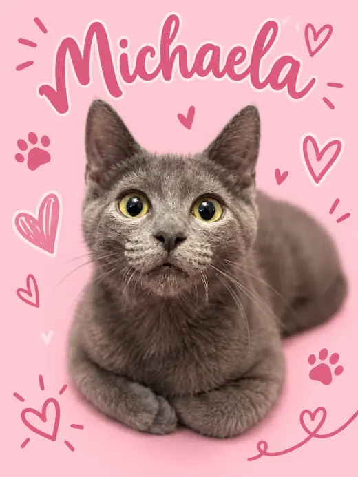 Michaela (FCID# 08/27/2026 - 32 Middletown PS) C
