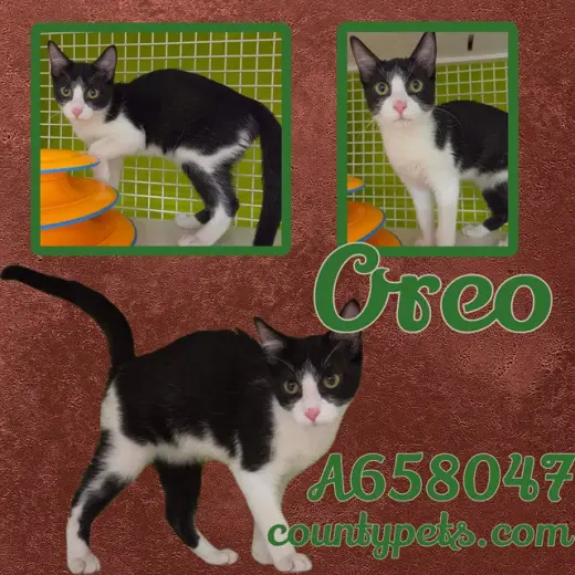 OREO
