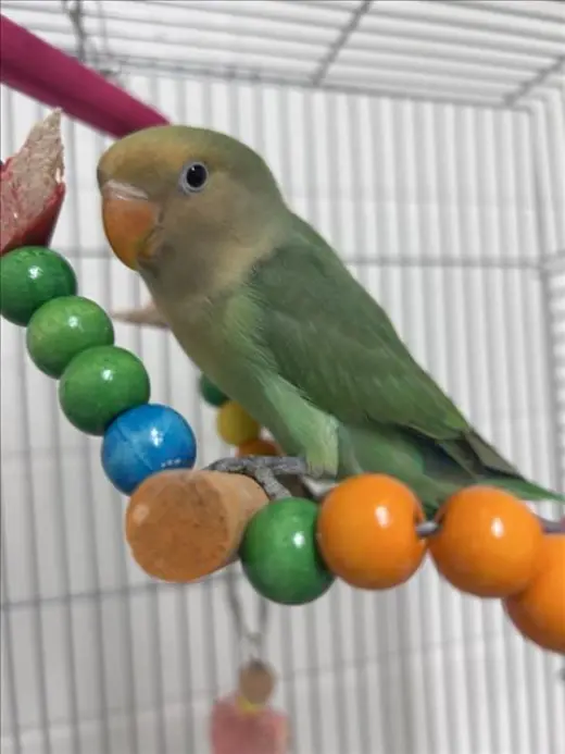 *PEACHY