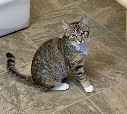 Tina