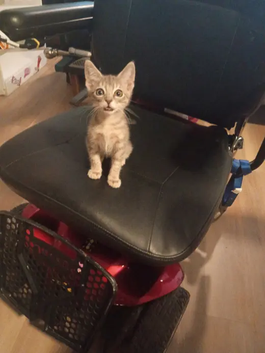 Kiro