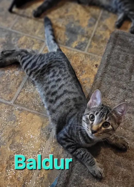 Baldur