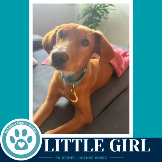Little Girl 091226