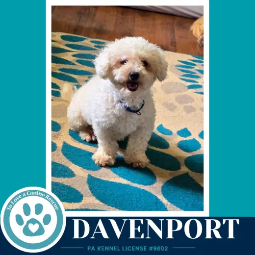 Davenport (The Davenports) 091226