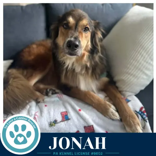 Jonah 091226