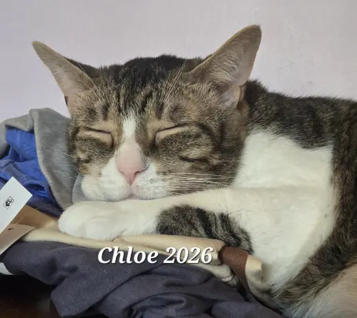 Chloe
