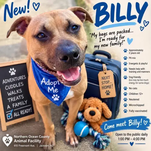 Billy