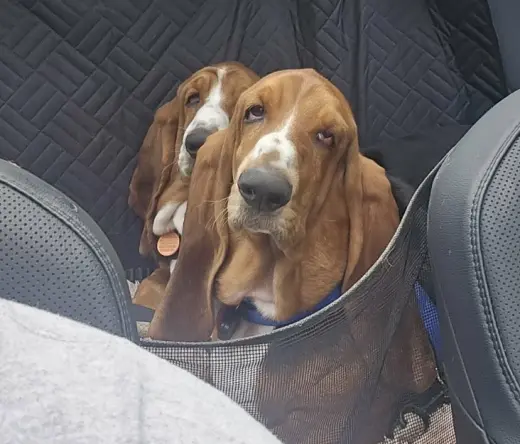Maggie and Willow