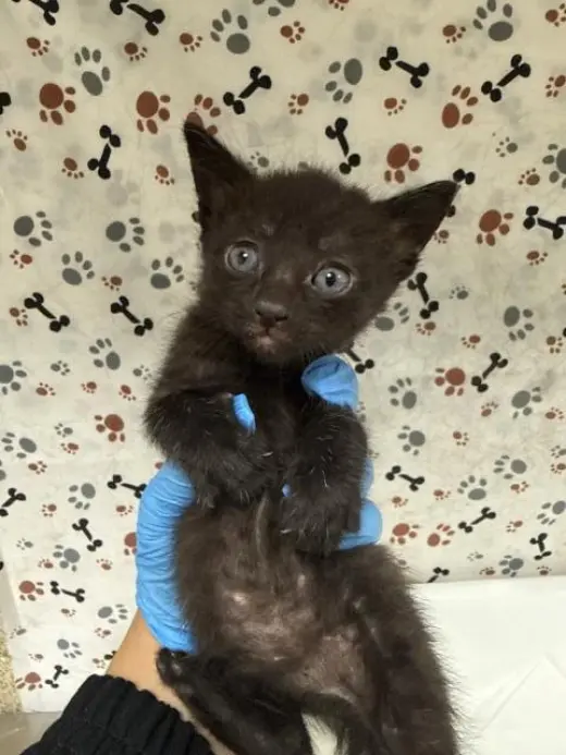 SALEM