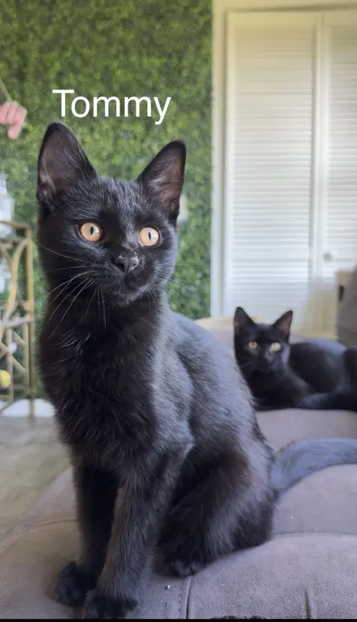 Mavis & Tommy