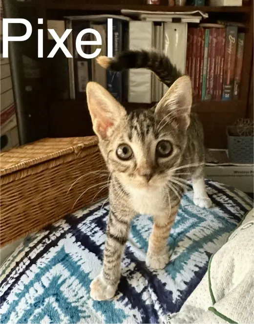 Pixel
