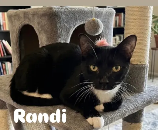Randi