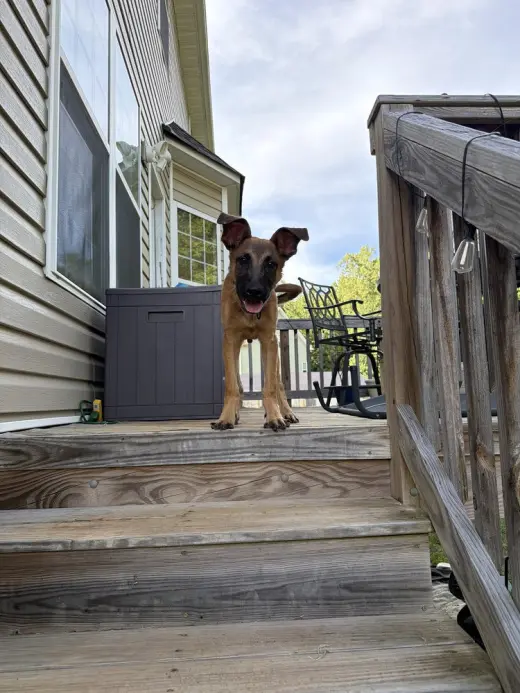 Crouton - Located in North Carolina