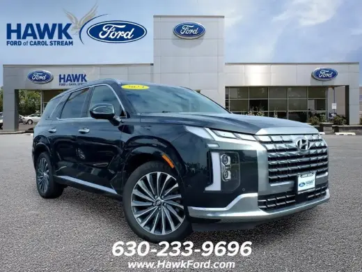 Hyundai PALISADE 2024 AWD Calligraphy 4dr SUV