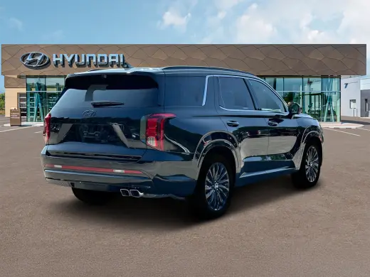Hyundai PALISADE 2024 AWD Calligraphy Night Edition 4dr SUV