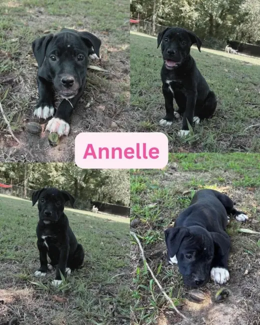 Annelle (corso crew 2026)