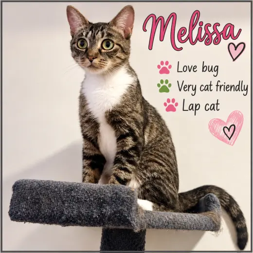 Melissa (FCID# 07/24/2026-154
