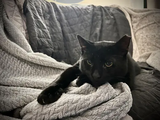 Templeton