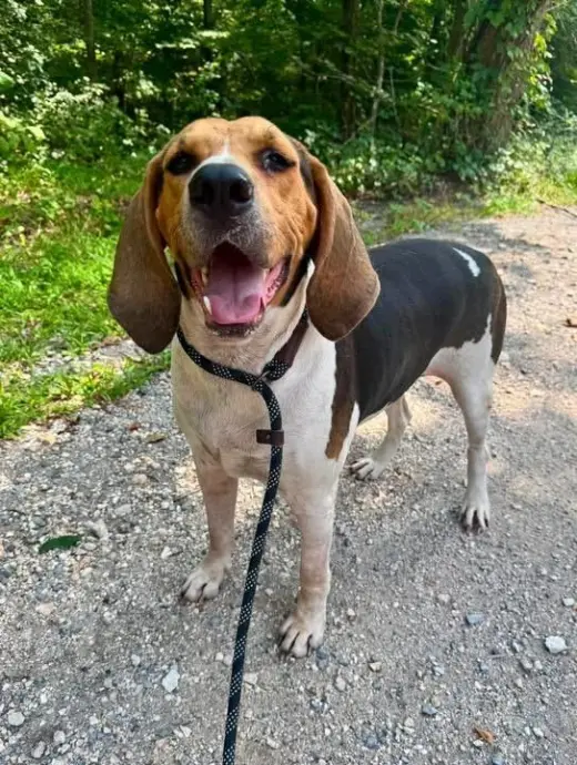 Copper