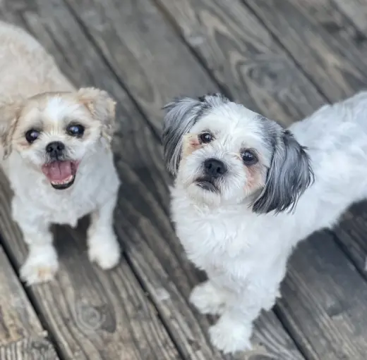 Benson and Bailey