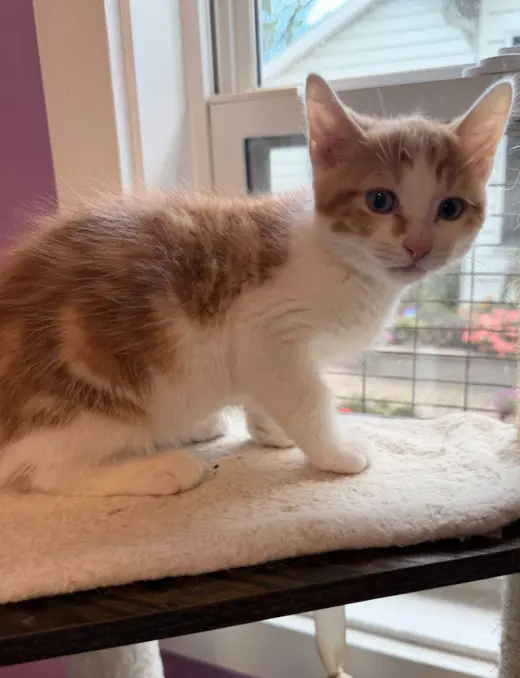Garth * IN FOSTER *