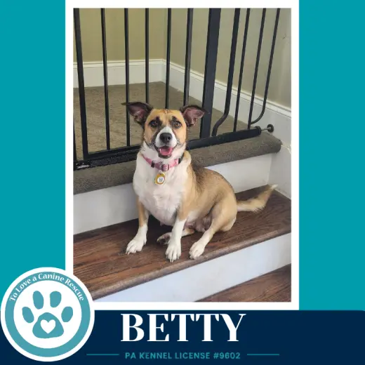 Betty (Mom to Betty's Babble Bunch) 062726