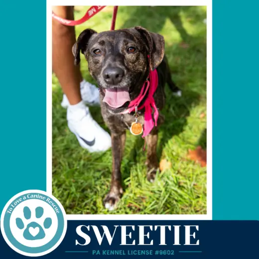 Sweetie (Mom to Sweeties Sweets) 082926