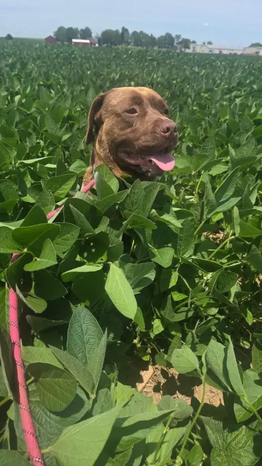 Floppy