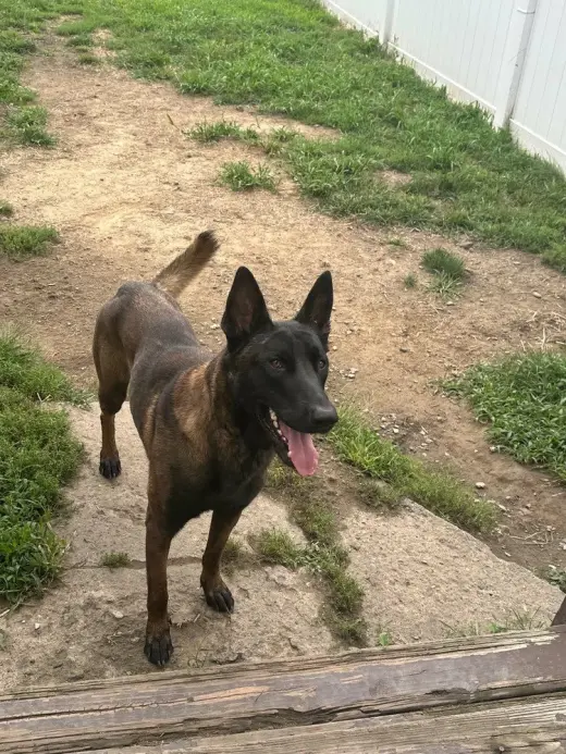 Xander - Located in New Jersey