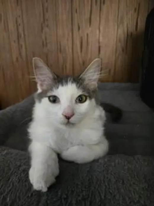 Theodore