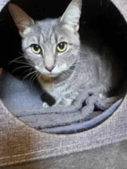 Milo