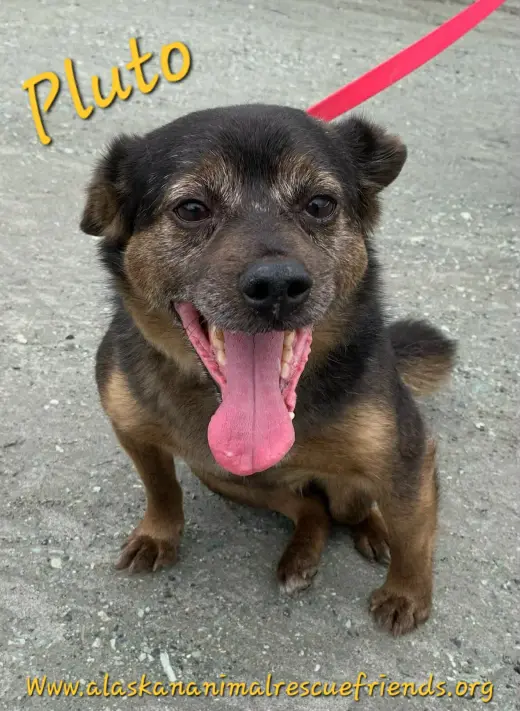 Pluto