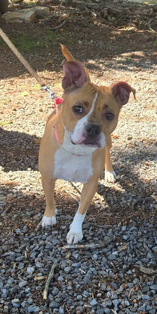 Miracle - At shelter