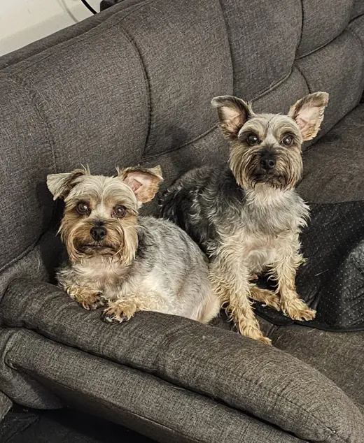 Jiggy and Joe