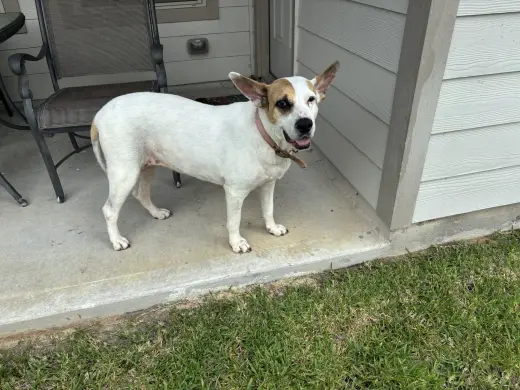 Roxy