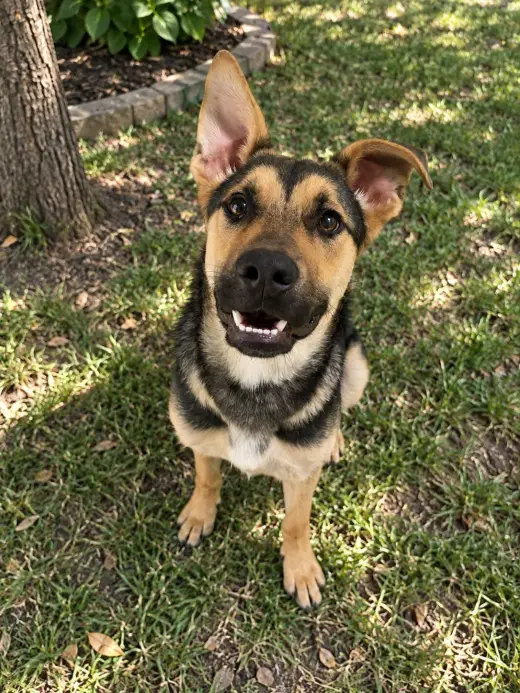 Benny